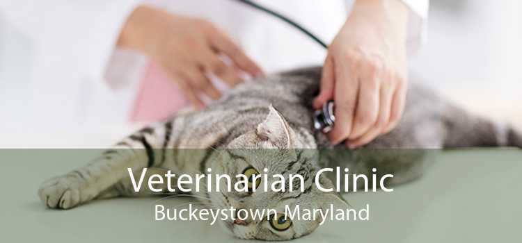 Veterinarian Clinic Buckeystown Maryland