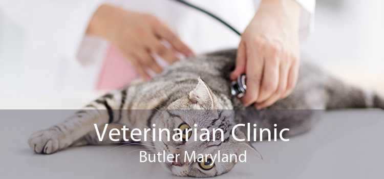Veterinarian Clinic Butler Maryland