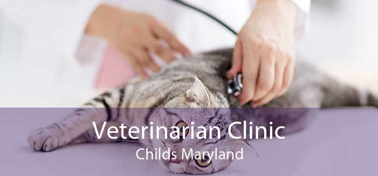 Veterinarian Clinic Childs Maryland