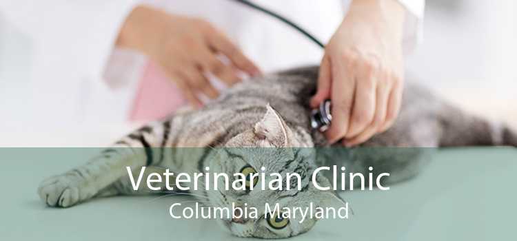 Veterinarian Clinic Columbia Maryland