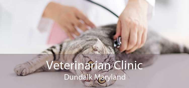 Veterinarian Clinic Dundalk Maryland