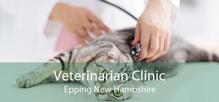 Veterinarian Clinic Epping New Hampshire