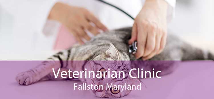 Veterinarian Clinic Fallston Maryland