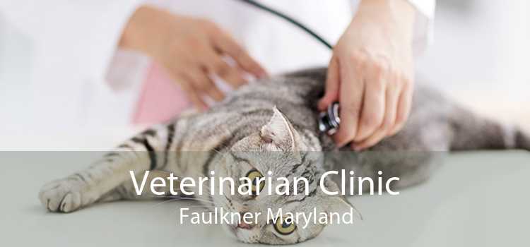 Veterinarian Clinic Faulkner Maryland