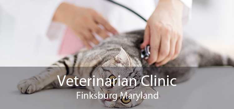 Veterinarian Clinic Finksburg Maryland