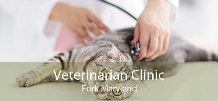 Veterinarian Clinic Fork Maryland