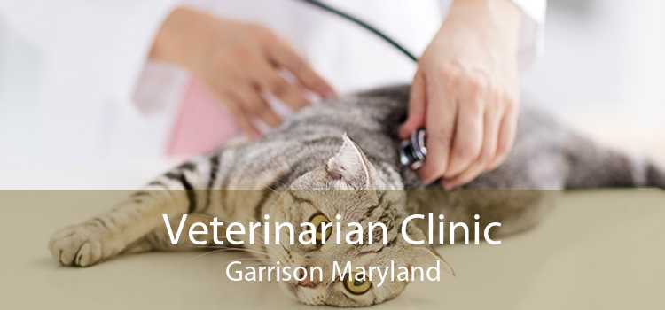 Veterinarian Clinic Garrison Maryland