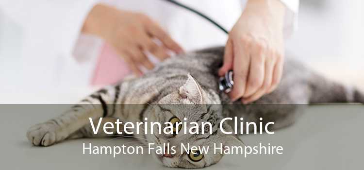 Veterinarian Clinic Hampton Falls New Hampshire