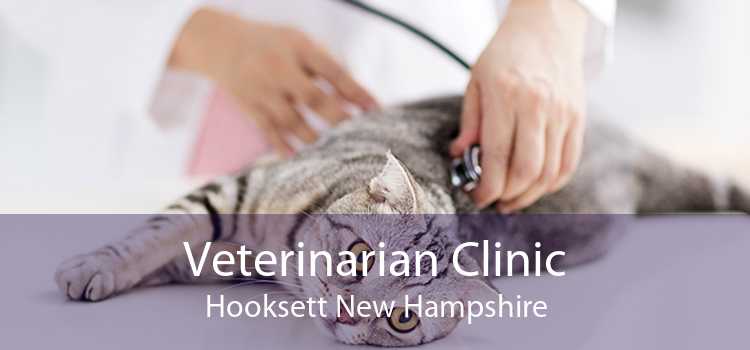Veterinarian Clinic Hooksett New Hampshire