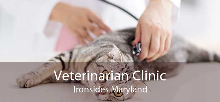 Veterinarian Clinic Ironsides Maryland