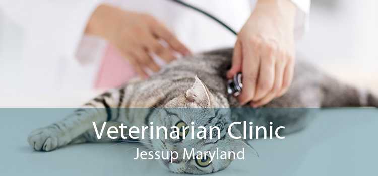 Veterinarian Clinic Jessup Maryland