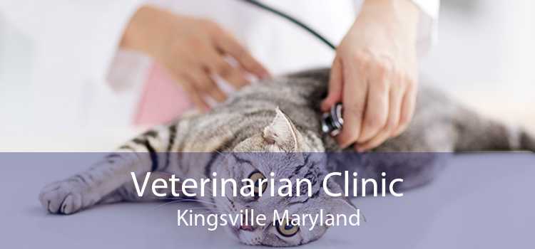 Veterinarian Clinic Kingsville Maryland