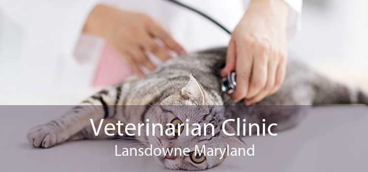Veterinarian Clinic Lansdowne Maryland