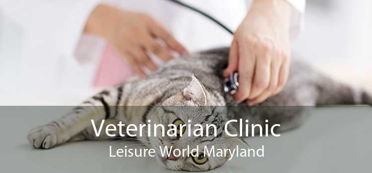 Veterinarian Clinic Leisure World Maryland