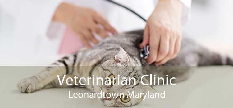 Veterinarian Clinic Leonardtown Maryland