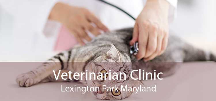 Veterinarian Clinic Lexington Park Maryland