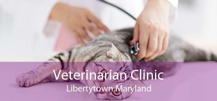 Veterinarian Clinic Libertytown Maryland