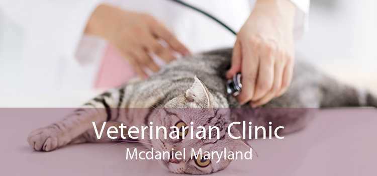 Veterinarian Clinic Mcdaniel Maryland