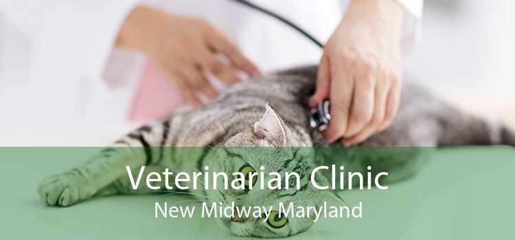 Veterinarian Clinic New Midway Maryland