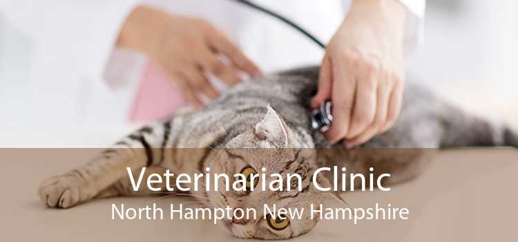 Veterinarian Clinic North Hampton New Hampshire