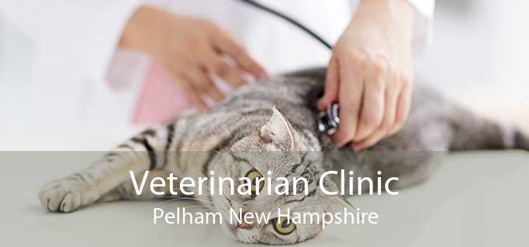 Veterinarian Clinic Pelham New Hampshire