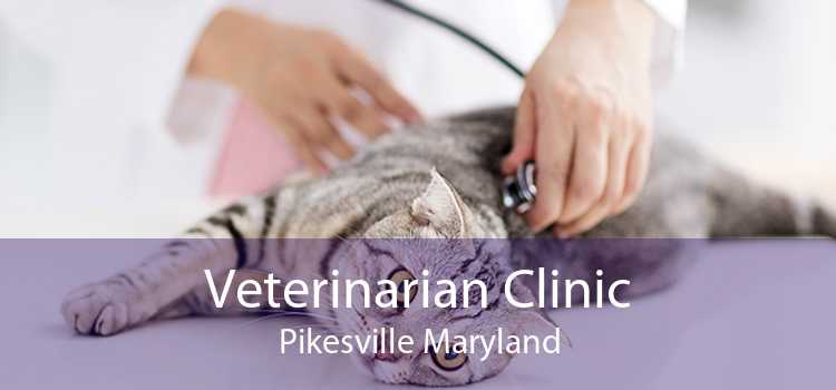 Veterinarian Clinic Pikesville Maryland