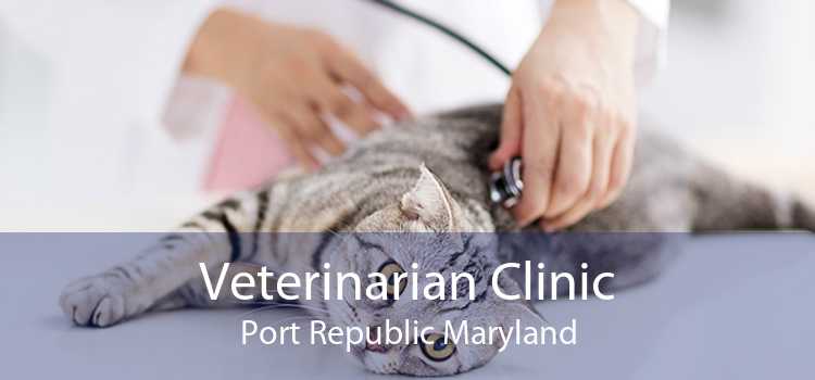 Veterinarian Clinic Port Republic Maryland
