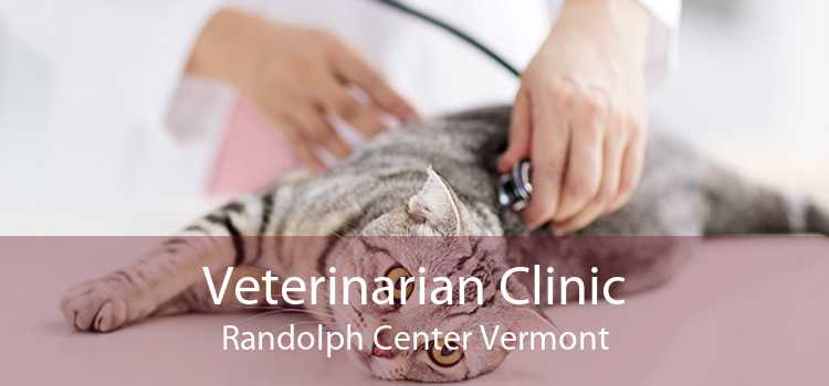 Veterinarian Clinic Randolph Center Vermont