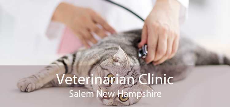 Veterinarian Clinic Salem New Hampshire