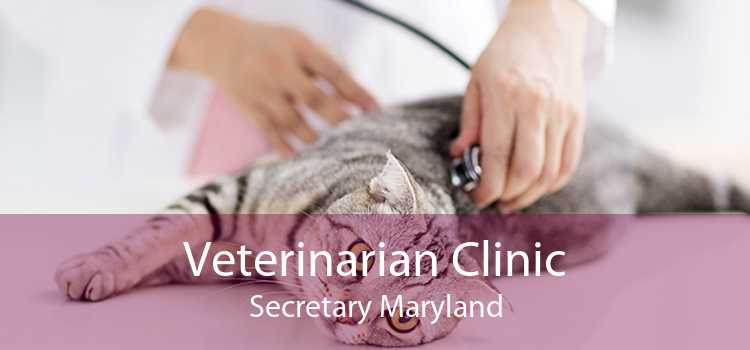 Veterinarian Clinic Secretary Maryland