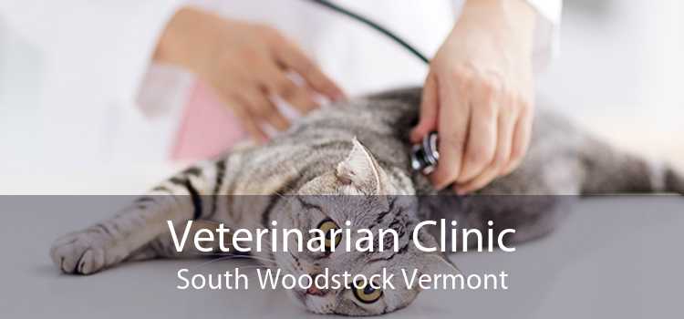 Veterinarian Clinic South Woodstock Vermont