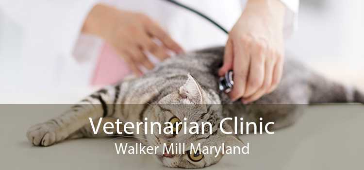 Veterinarian Clinic Walker Mill Maryland