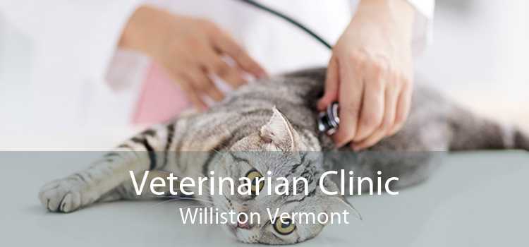 Veterinarian Clinic Williston Vermont